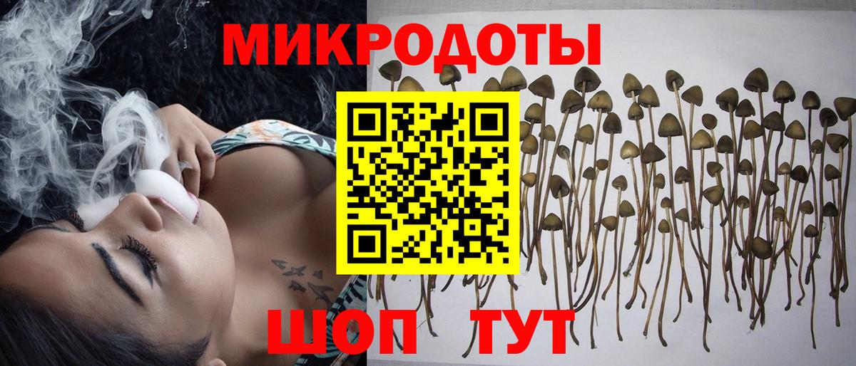 Галлюциногенные грибы ЛСД  Галлюциногенные грибы прущие грибы  Тосно  Вход с VPN 